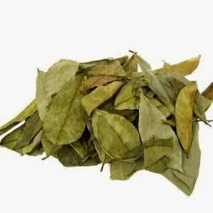 Hoja de guanábana (graviola) deshidratada, orgánica La Semillita Peruana